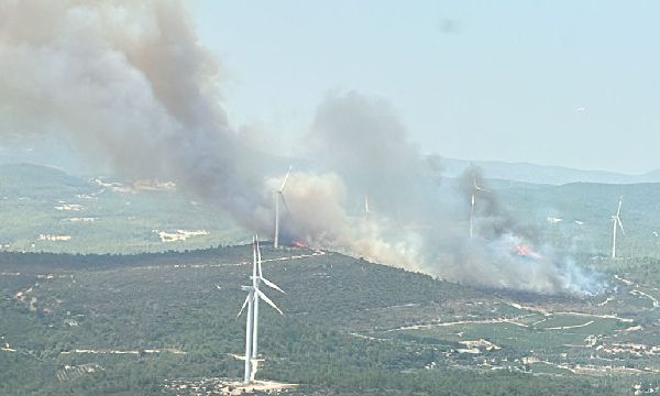  Urla'da orman yangını...